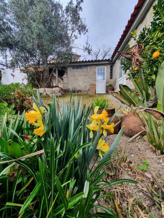 Villa Casa Da Poca à Baião Extérieur photo